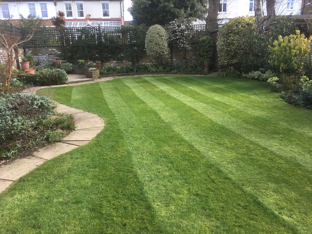 a garden having had its lawn cut for garden maintenance