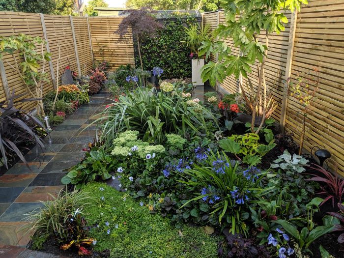 garden transformation from an unkempt garden to one that has changed dramatically